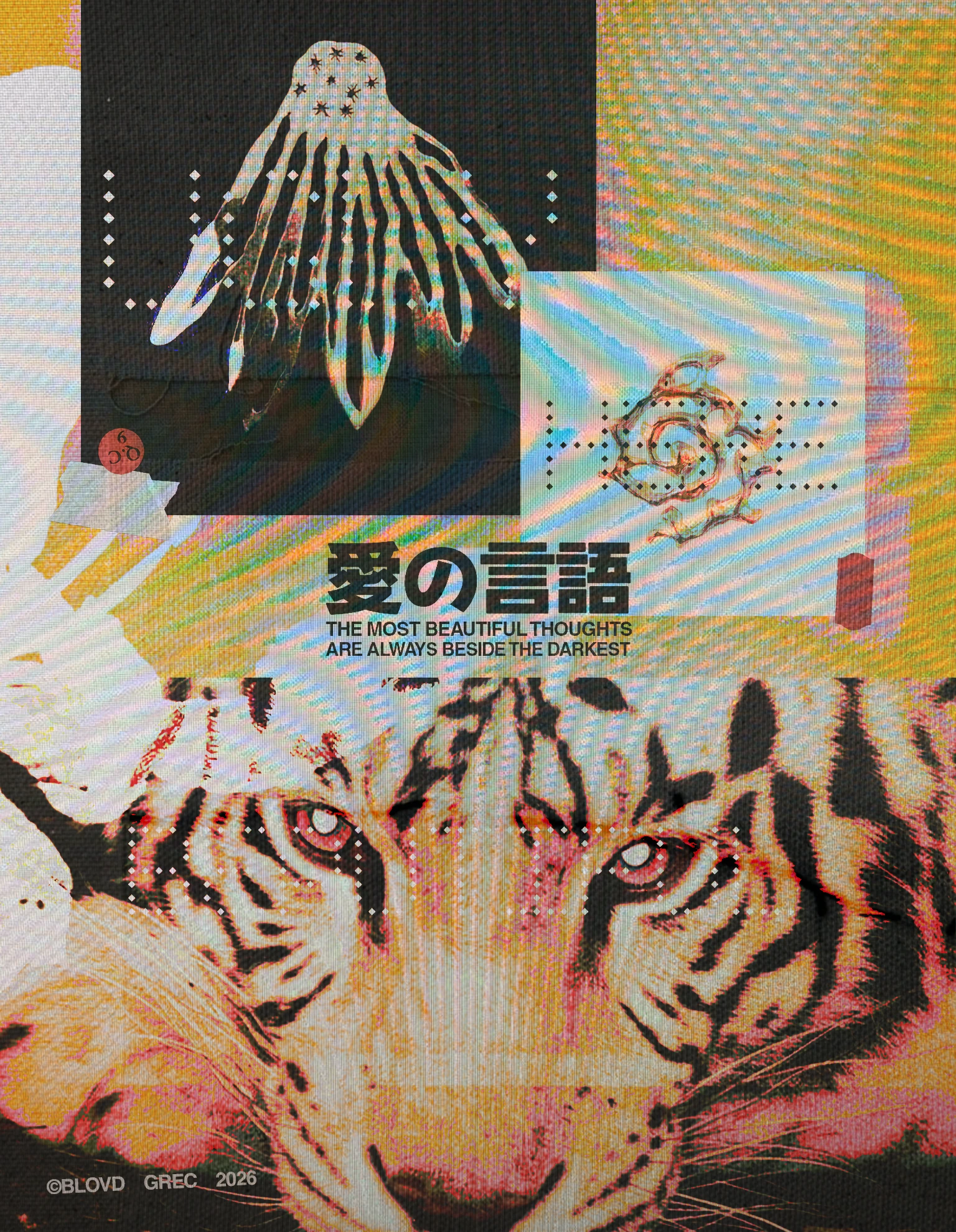 BTF single image